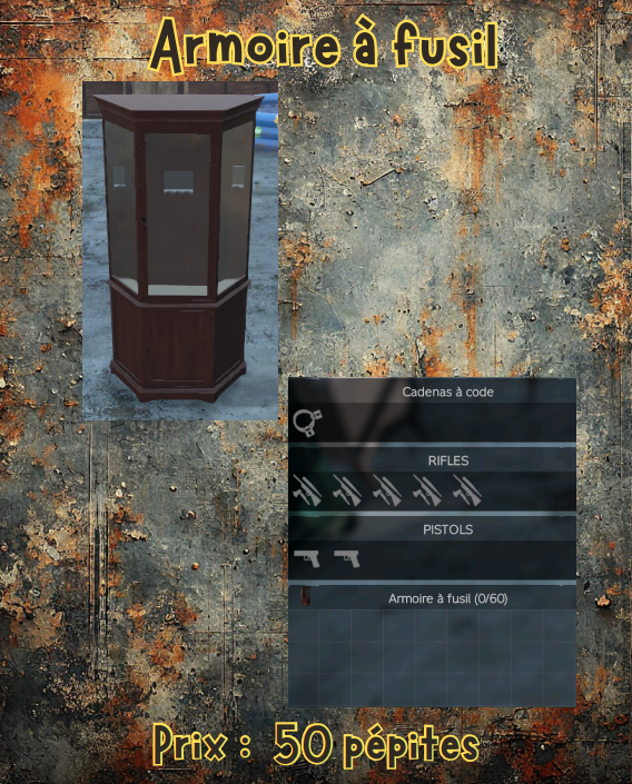 armoire a fusil