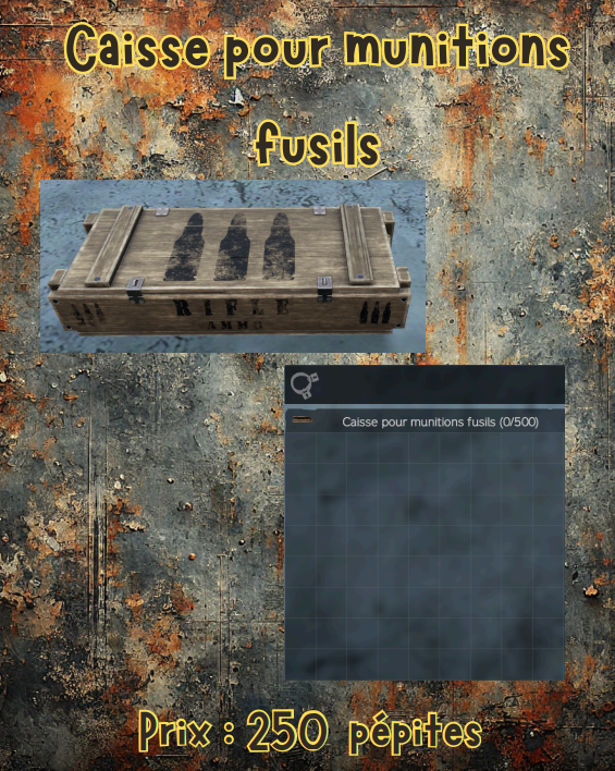 caisse pour munitions fusils