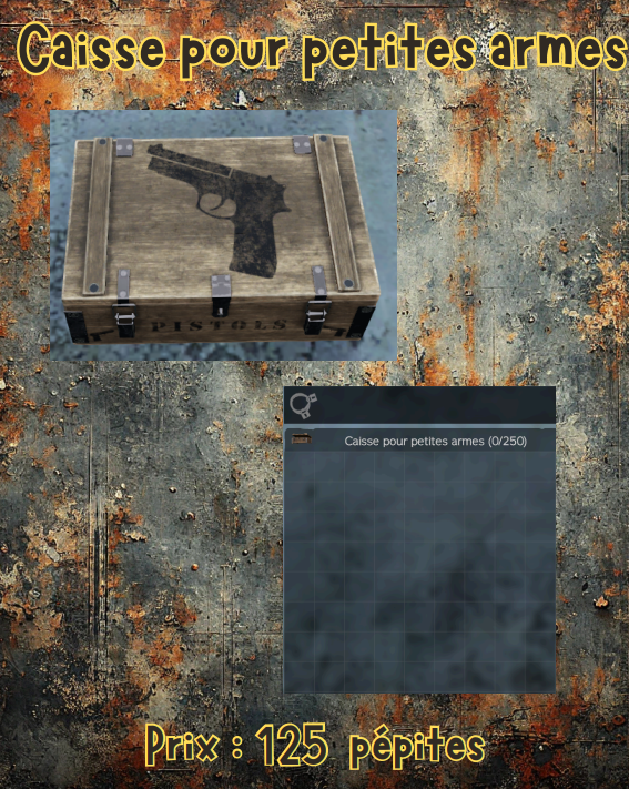 caisse pour petites armes