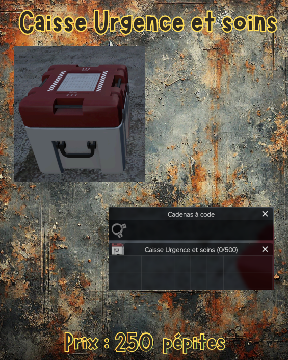 caisse urgence et soin