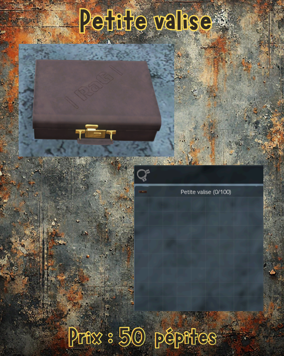 petite valise