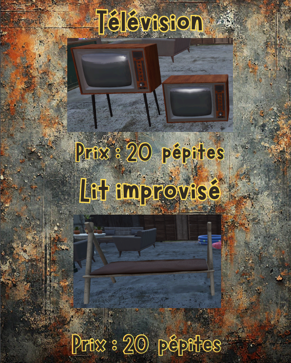 télévision et lit improvisé