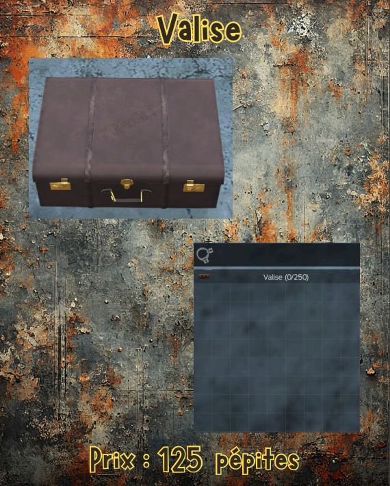 valise